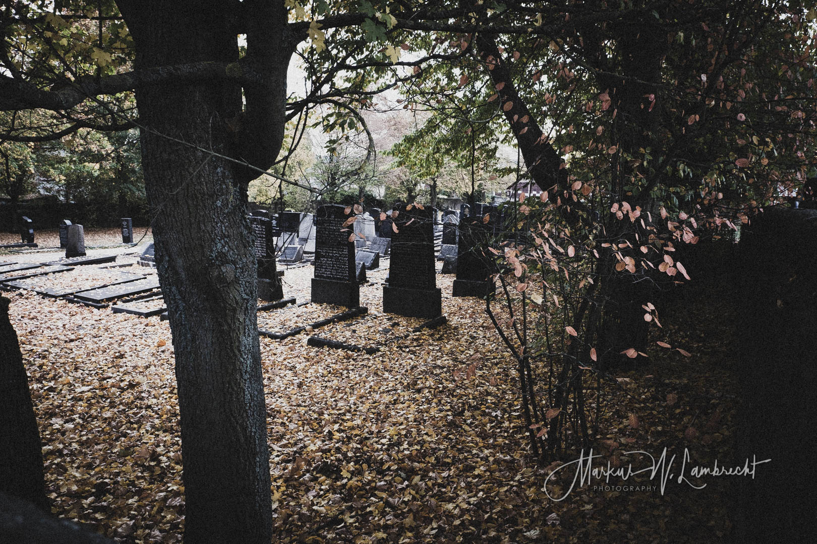 Fulda, Jüdischer Friedhof